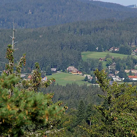 Restaurant Peterle Feldberg (Baden-Wurttemberg)