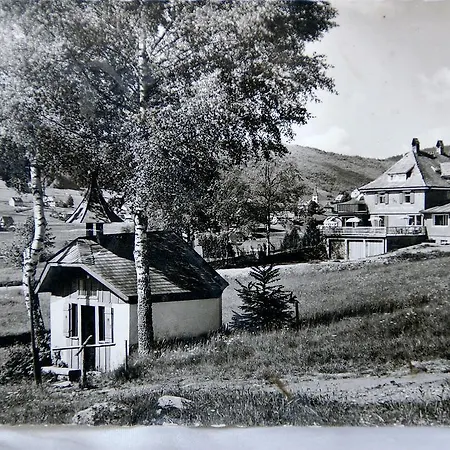 Restaurant Peterle