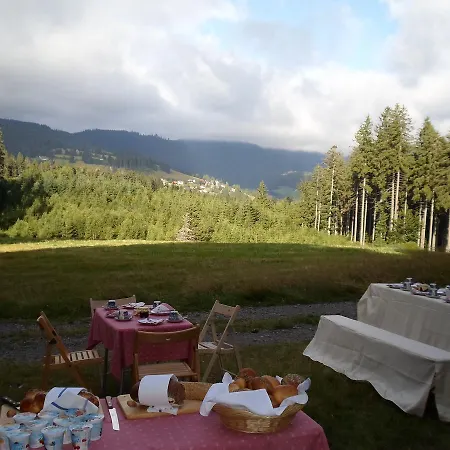 Restaurant Peterle 3* Feldberg (Baden-Wurttemberg)