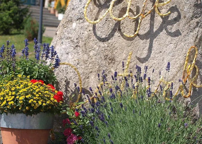 レストロン ピテール ホテル 3*