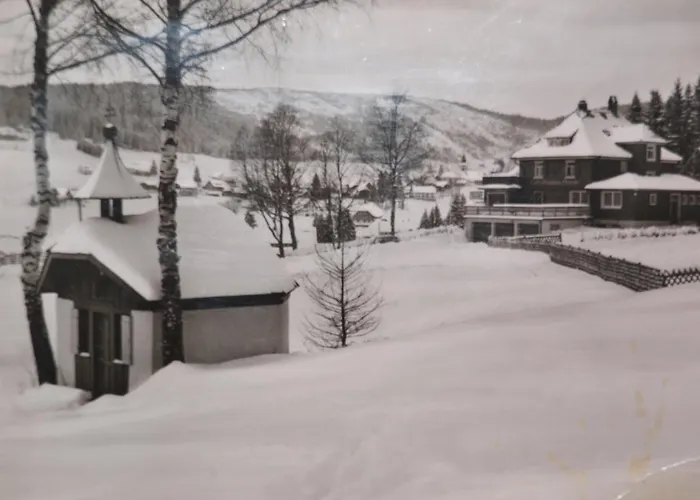 レストロン ピテール フェルトベルク